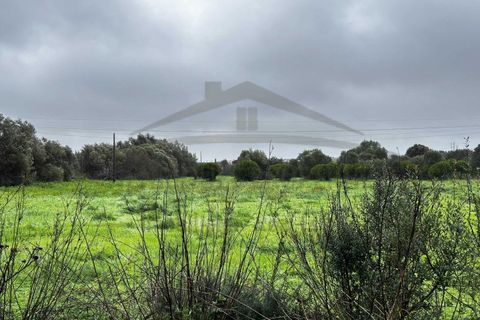 Villa i Moncarapacho, Faro, Moncarapacho - € 360.000 | Ref: HAB601 - foto 20