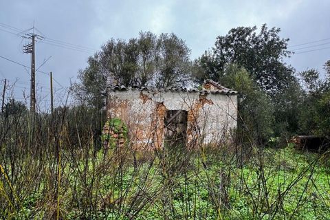 Villa i Moncarapacho, Faro, Moncarapacho - € 360.000 | Ref: HAB601 - foto 21