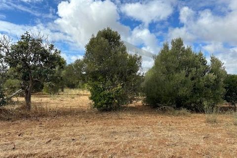 Villa i Moncarapacho, Faro, Moncarapacho - € 360.000 | Ref: HAB601 - foto 23