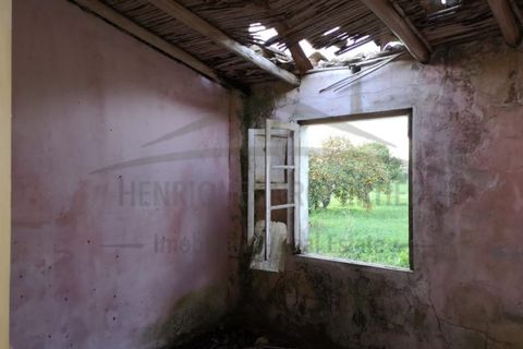 Villa i Moncarapacho, Faro, Moncarapacho - € 360.000 | Ref: HAB601 - foto 25