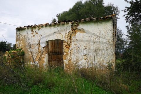 Villa i Moncarapacho, Faro, Moncarapacho - € 360.000 | Ref: HAB601 - foto 27