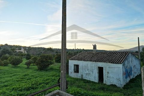 Villa i Moncarapacho, Faro, Moncarapacho - € 360.000 | Ref: HAB601 - foto 28