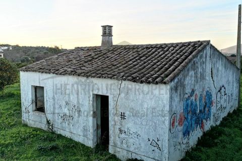 Villa i Moncarapacho, Faro, Moncarapacho - € 360.000 | Ref: HAB601 - foto 30