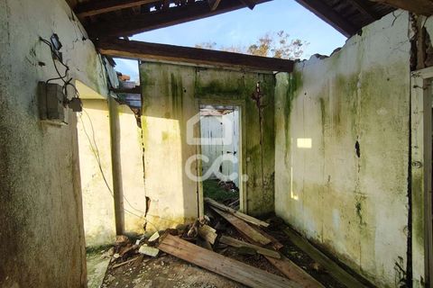 Ruïna a Serreta, Terceira, Serreta - € 50.000 | Ref: 315/Q/01762 - foto 3