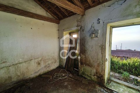Ruïna a Serreta, Terceira, Serreta - € 50.000 | Ref: 315/Q/01762 - foto 4