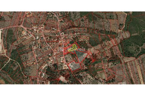 Helårsgrund i Tomar, Santarem, Tomar - € 17.500 | Ref: 01939-26 - foto 3