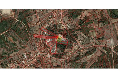 Helårsgrund i Tomar, Santarem, Tomar - € 17.500 | Ref: 01939-26 - foto 4