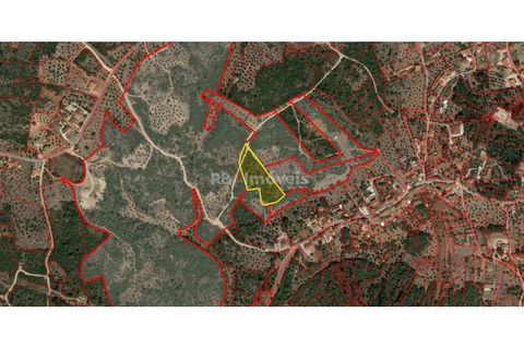 Helårsgrund i Tomar, Santarem, Tomar - € 17.500 | Ref: 01939-26 - foto 5