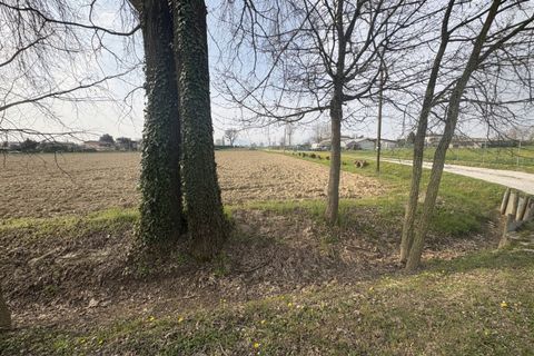 Helårsgrund i Saccolongo, Padua, Saccolongo - € 135.000 | Ref: TR024 - foto 5