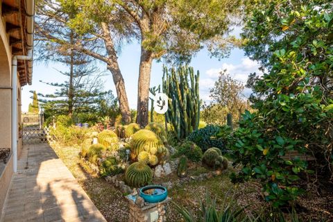 Landejendom i Inca, Mallorca, Inca - € 659.000 | Ref: P002740/10684 - foto 38
