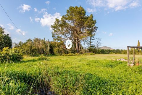Landejendom i Inca, Mallorca, Inca - € 659.000 | Ref: P002740/10684 - foto 40