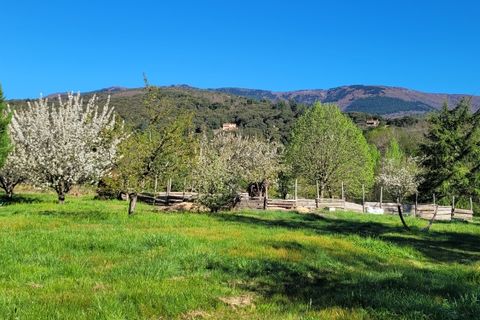 Villa a Olargues, Herault, Olargues - € 599.000 | Ref: po629000ee - foto 10