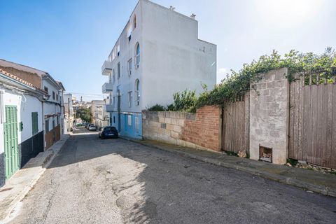 Terra a Manacor, Mallorca, Manacor - € 100.000 | Ref: 03AM117/3010 - foto 3
