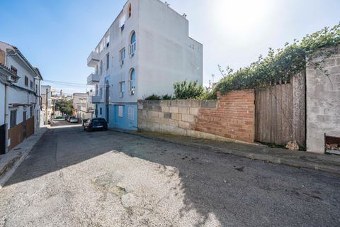 Terra a Manacor, Mallorca, Manacor - € 100.000 | Ref: 03AM117/3010 - foto 4
