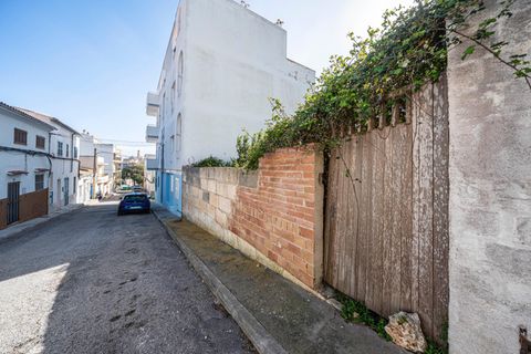 Terra a Manacor, Mallorca, Manacor - € 100.000 | Ref: 03AM117/3010 - foto 5