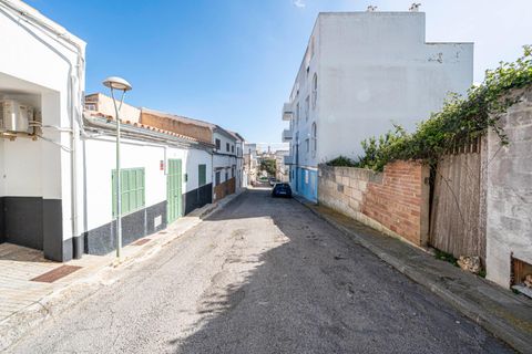 Terra a Manacor, Mallorca, Manacor - € 100.000 | Ref: 03AM117/3010 - foto 7