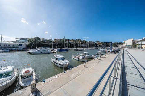 Terra a Manacor, Mallorca, Manacor - € 100.000 | Ref: 03AM117/3010 - foto 10
