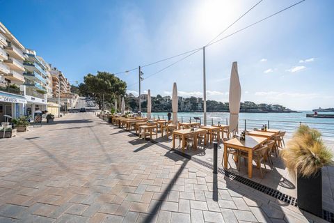 Terra a Manacor, Mallorca, Manacor - € 100.000 | Ref: 03AM117/3010 - foto 17