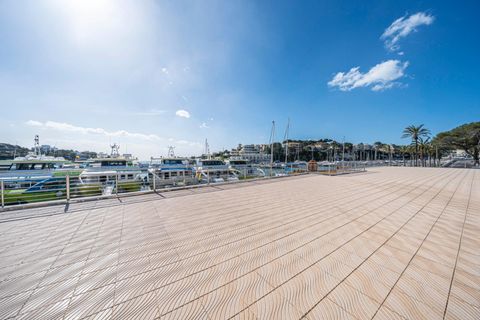 Terra a Manacor, Mallorca, Manacor - € 100.000 | Ref: 03AM117/3010 - foto 18
