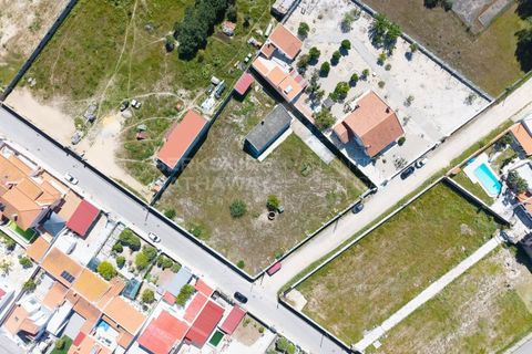 Villa i Quinta do Anjo, Setubal, Quinta do Anjo - € 600.000 | Ref: CAS_1343 - foto 5