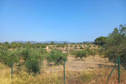 Villa i Rasquera, Tarragona, Rasquera - € 380.000 | Ref: EXP13924/8930 - foto 37