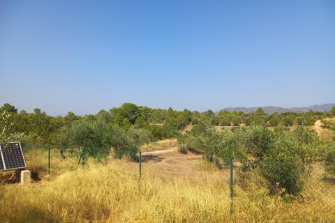 Villa i Rasquera, Tarragona, Rasquera - € 380.000 | Ref: EXP13924/8930 - foto 38