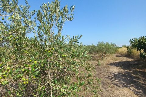 Villa i Rasquera, Tarragona, Rasquera - € 380.000 | Ref: EXP13924/8930 - foto 42