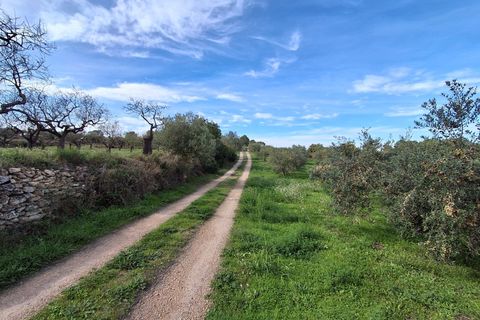 Villa i Rasquera, Tarragona, Rasquera - € 380.000 | Ref: EXP13924/8930 - foto 47