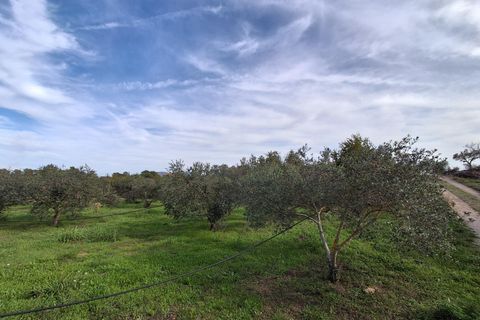 Villa i Rasquera, Tarragona, Rasquera - € 380.000 | Ref: EXP13924/8930 - foto 48