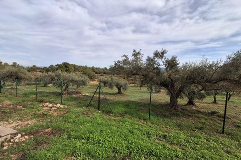 Villa i Rasquera, Tarragona, Rasquera - € 380.000 | Ref: EXP13924/8930 - foto 50