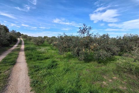 Villa i Rasquera, Tarragona, Rasquera - € 380 000 | Ref: EXP13924/8930 - foto 49