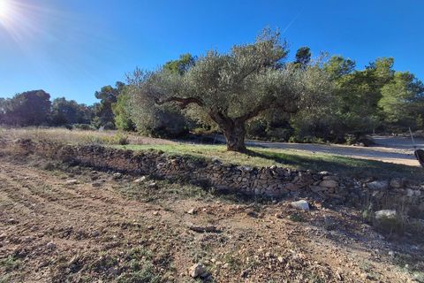 Landejendom i Mora D'ebre, Tarragona, Mora D'ebre - € 235.000 | Ref: EXP13925/8930 - foto 49