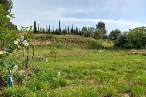 Helårsgrund i Ginestar, Tarragona, Ginestar - € 20.000 | Ref: EXP13927/8930 - foto 1