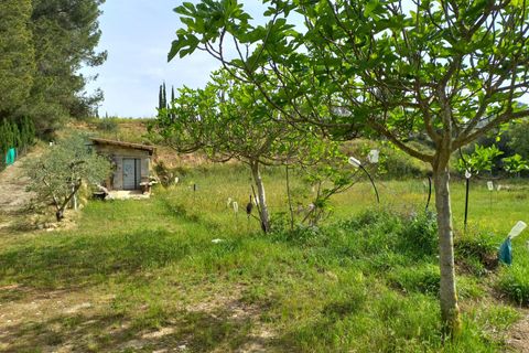 Helårsgrund i Ginestar, Tarragona, Ginestar - € 20.000 | Ref: EXP13927/8930 - foto 2