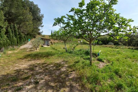 Helårsgrund i Ginestar, Tarragona, Ginestar - € 20.000 | Ref: EXP13927/8930 - foto 3