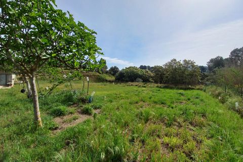 Helårsgrund i Ginestar, Tarragona, Ginestar - € 20.000 | Ref: EXP13927/8930 - foto 4
