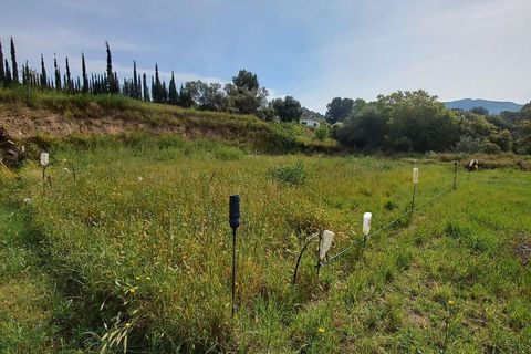 Helårsgrund i Ginestar, Tarragona, Ginestar - € 20.000 | Ref: EXP13927/8930 - foto 7