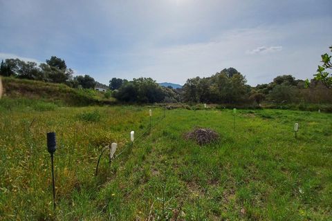 Helårsgrund i Ginestar, Tarragona, Ginestar - € 20.000 | Ref: EXP13927/8930 - foto 8