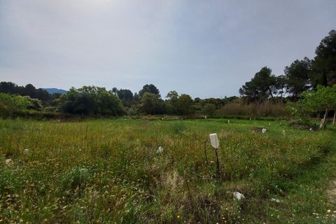 Helårsgrund i Ginestar, Tarragona, Ginestar - € 20.000 | Ref: EXP13927/8930 - foto 13