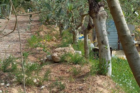 Helårsgrund i Ginestar, Tarragona, Ginestar - € 20.000 | Ref: EXP13927/8930 - foto 15
