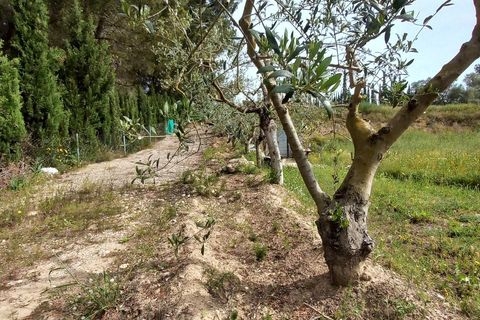 Helårsgrund i Ginestar, Tarragona, Ginestar - € 20.000 | Ref: EXP13927/8930 - foto 16