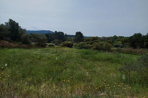 Helårsgrund i Ginestar, Tarragona, Ginestar - € 20.000 | Ref: EXP13927/8930 - foto 19