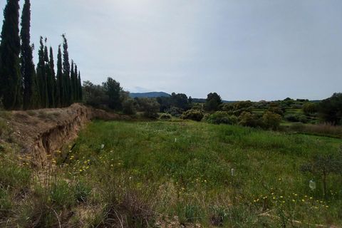 Helårsgrund i Ginestar, Tarragona, Ginestar - € 20.000 | Ref: EXP13927/8930 - foto 20