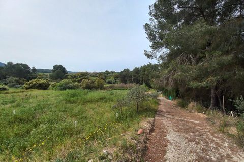 Helårsgrund i Ginestar, Tarragona, Ginestar - € 20.000 | Ref: EXP13927/8930 - foto 21