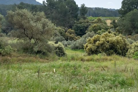 Helårsgrund i Ginestar, Tarragona, Ginestar - € 20.000 | Ref: EXP13927/8930 - foto 23
