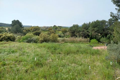 Helårsgrund i Ginestar, Tarragona, Ginestar - € 20.000 | Ref: EXP13927/8930 - foto 24