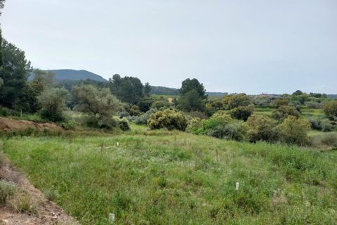 Helårsgrund i Ginestar, Tarragona, Ginestar - € 20.000 | Ref: EXP13927/8930 - foto 25