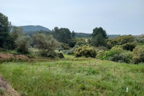 Helårsgrund i Ginestar, Tarragona, Ginestar - € 20.000 | Ref: EXP13927/8930 - foto 26