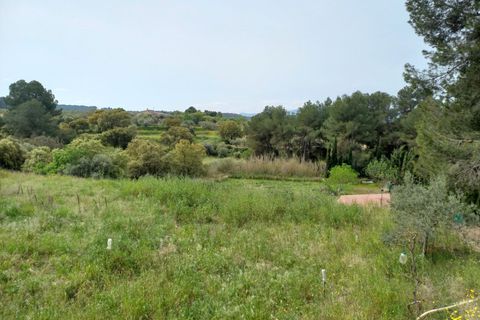Helårsgrund i Ginestar, Tarragona, Ginestar - € 20.000 | Ref: EXP13927/8930 - foto 27