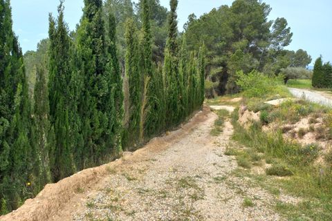 Helårsgrund i Ginestar, Tarragona, Ginestar - € 20.000 | Ref: EXP13927/8930 - foto 29